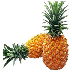 Pineapple Queen - kolarmegamart