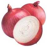 Onion - kolarmegamart