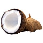 Coconut - kolarmegamart