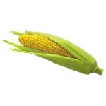 Sweet Corn - kolarmegamart