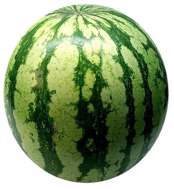 Watermelon - kolarmegamart